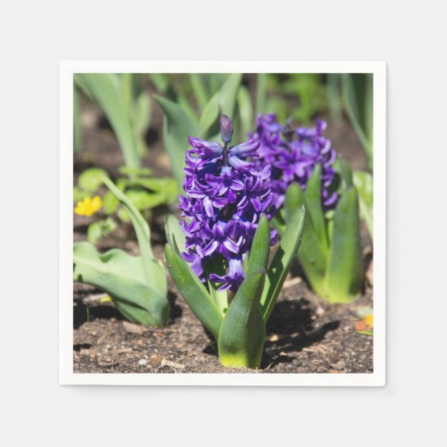 Guardanapo De Papel Blue Geocinth em primavera (Frente)