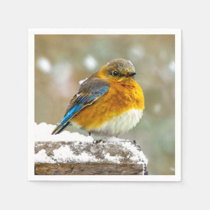 Guardanapo De Papel Bluebird oriental na neve - Foto original
