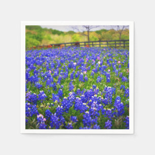 Guardanapo De Papel Bluebonnets em Texas