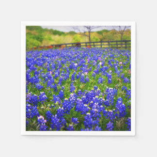 Guardanapo De Papel Bluebonnets no Texas