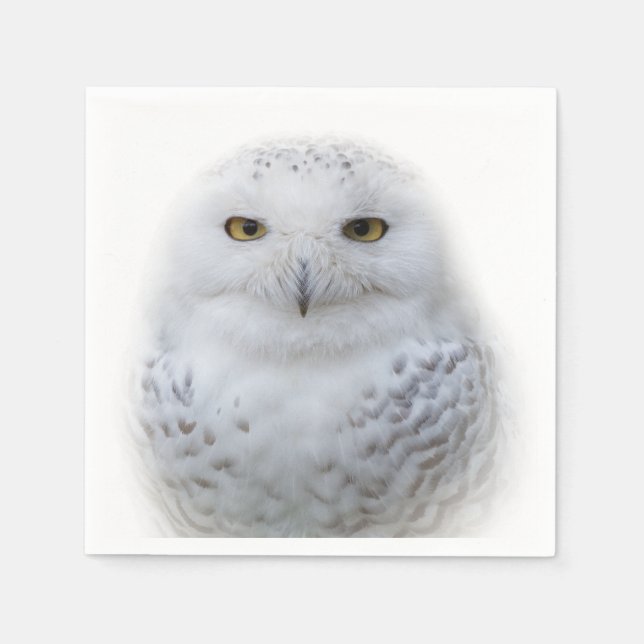Guardanapo De Papel Bonita, Dreamy e Serene Snowy Owl (Frente)