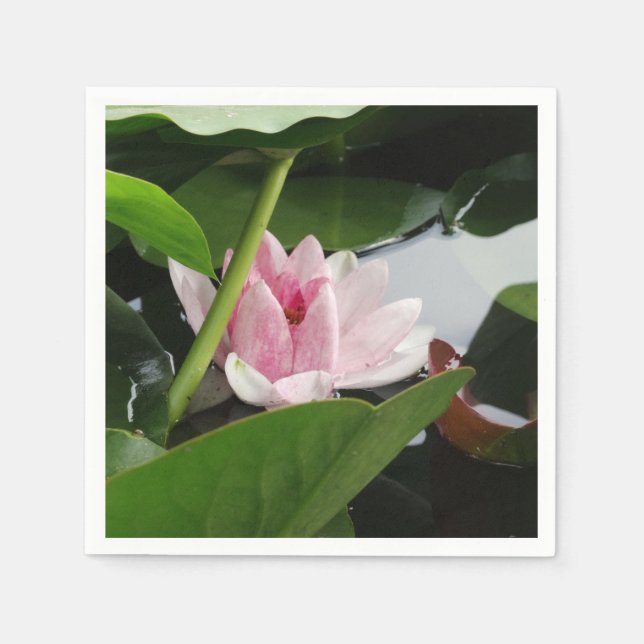 Guardanapo De Papel Bonito Coquetel da Flor Lotus Napkin (Frente)