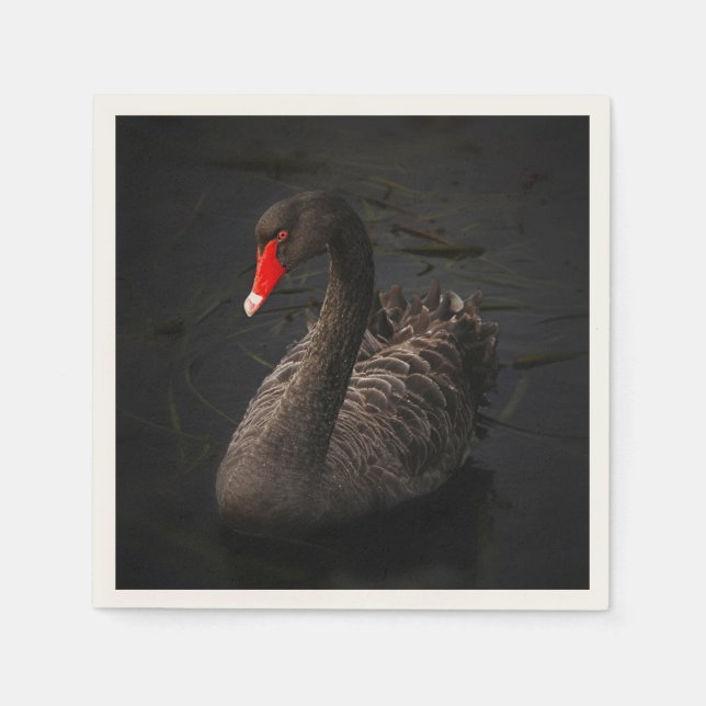Guardanapo De Papel Bonito Swan Negro com Bright Beak Vermelho (Frente)