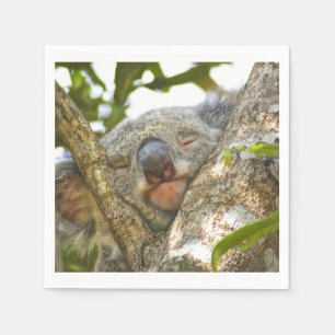 Guardanapo De Papel Bonito Urso de Koala