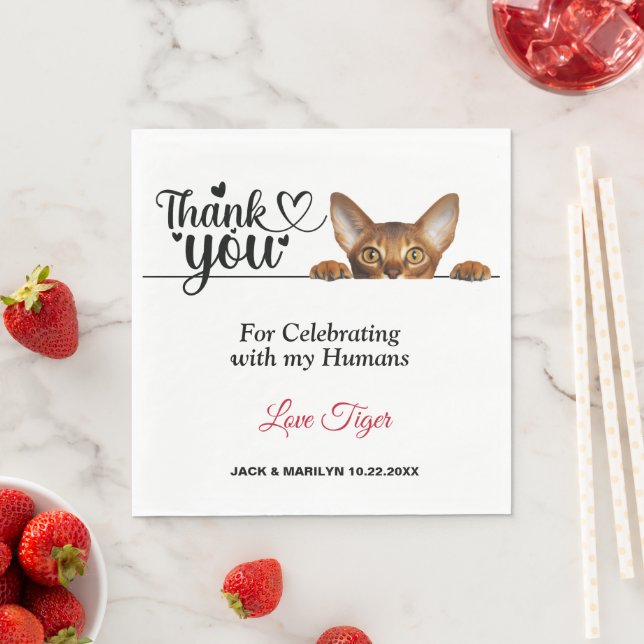 Guardanapo De Papel Bonitos Papéis de Gato de Pequim (Insitu)