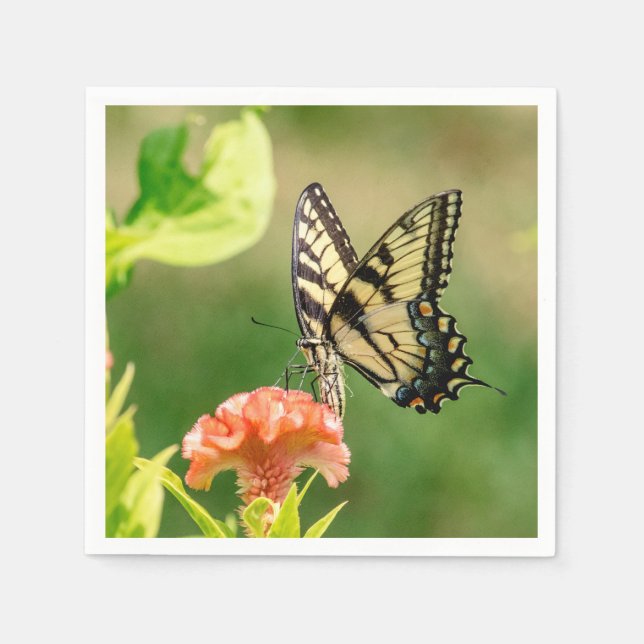Guardanapo De Papel Borboleta do Swallowtail do Tigre Oriental (Frente)