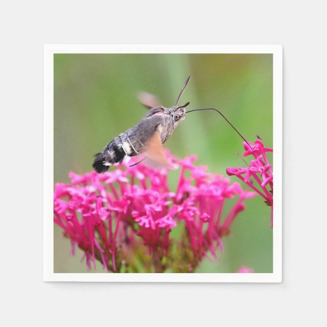 Guardanapo De Papel Borboleta Hawk-moth Hummingbird em voo (Frente)
