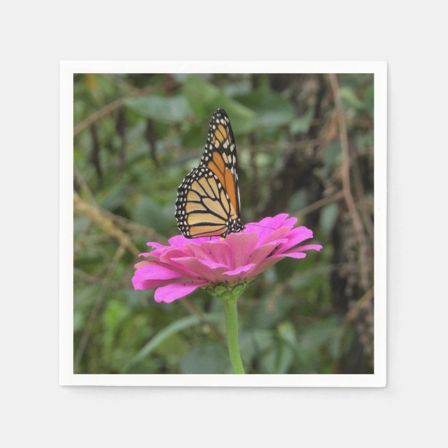 Guardanapo De Papel Borboleta Monarca numa Flor Zinina Rosa Bonito (Frente)