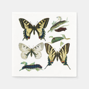 Guardanapo De Papel Borboletas, lagartas e mariposas