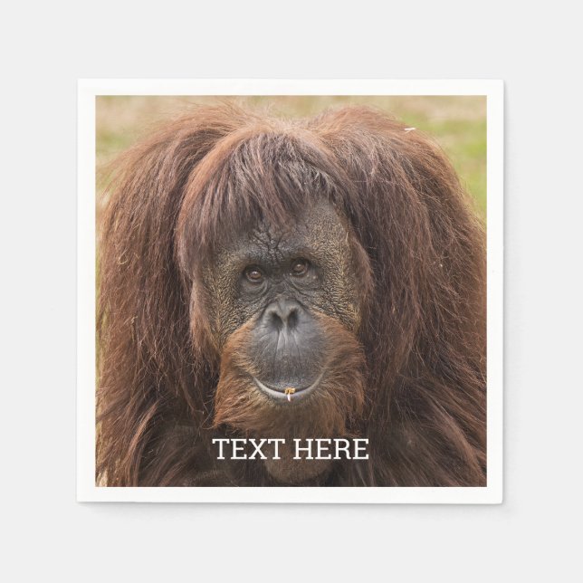 Guardanapo De Papel Borneo Orangutan - Bela Fotografia (Frente)