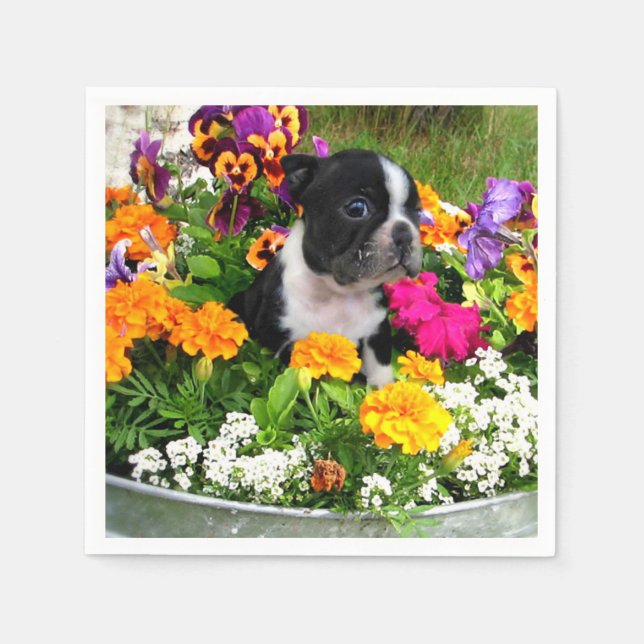 Guardanapo De Papel Boston Terrier dog (Frente)