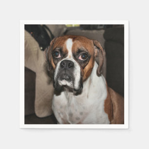 Guardanapo De Papel Boxer