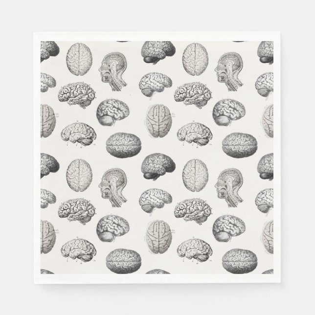 Guardanapo De Papel Brain Anatomy Biology Illustrations (Frente)