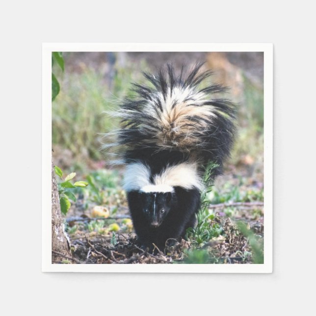 Guardanapo De Papel Branco e preto-e-branco (Frente)