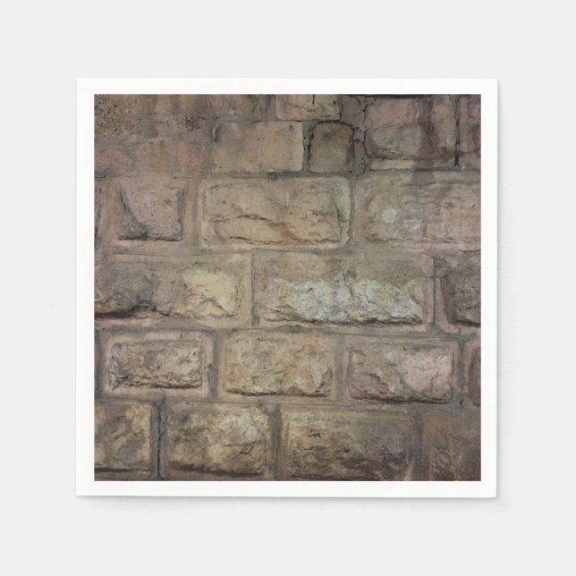 Guardanapo De Papel Brick Standard Coctail Papagaio Nápoles (Frente)