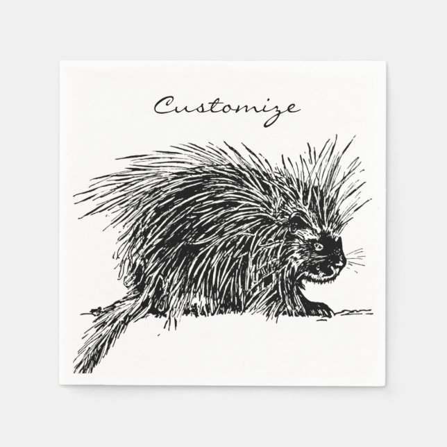 Guardanapo De Papel Brilhante Hedgehog Thunder_Cove (Frente)