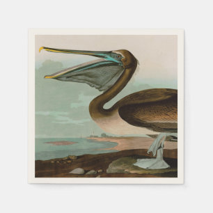 Guardanapo De Papel Brown Pelican Birds of America Audubon Impressão
