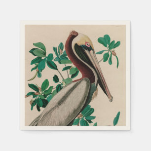 Guardanapo De Papel Brown Pelican Birds of America Audubon Impressão