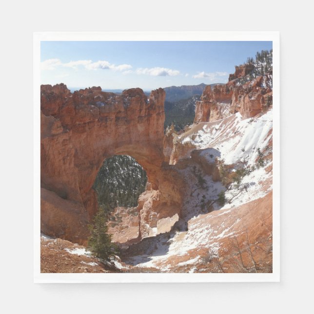 Guardanapo De Papel Bryce Canyon Natural Bridge Snowy Landscape Foto (Frente)