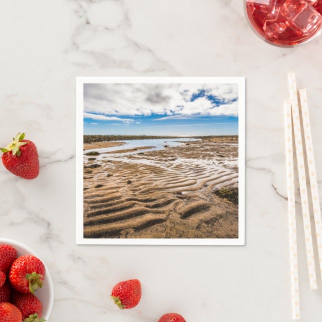 Guardanapo De Papel Budir Beach, Islândia (Insitu)