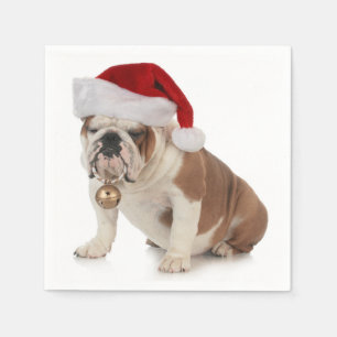 Guardanapo De Papel Buldogue inglês que veste o chapéu do papai noel