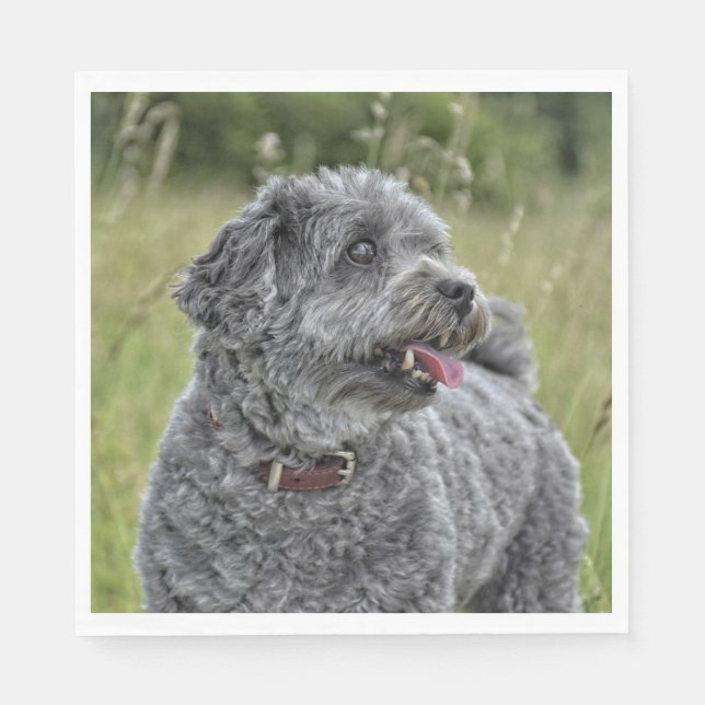 Guardanapo De Papel Cachorro Cortado Terrier (Frente)