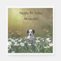 Cachorro Dalmaciano em Daisies