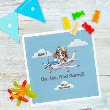 Cachorro Piloto Fofo Voando Avião Menino Primeiro