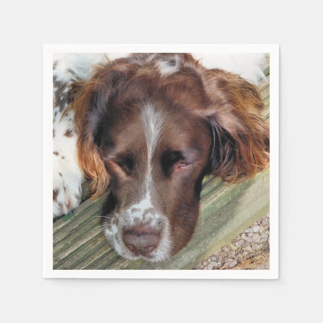 GUARDANAPO DE PAPEL CÃES (Frente)