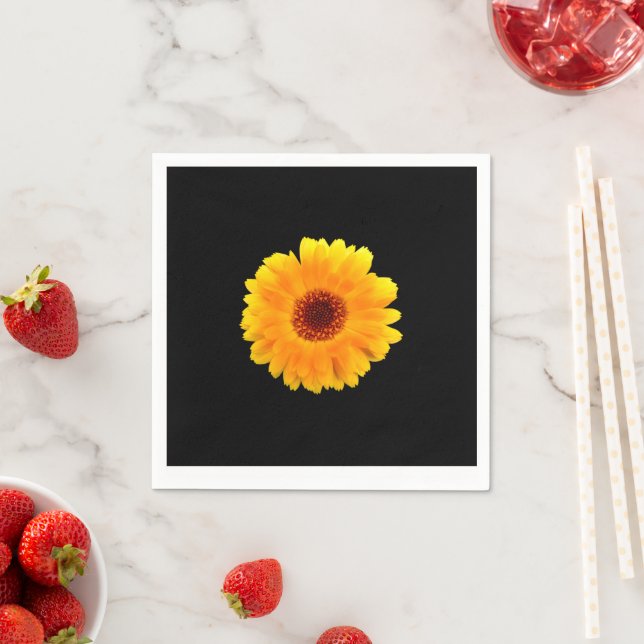 Guardanapo De Papel Calendário Oficial Napkins (Insitu)