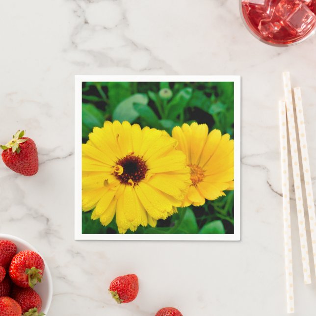 Guardanapo De Papel Calendário Oficial Napkins (Insitu)