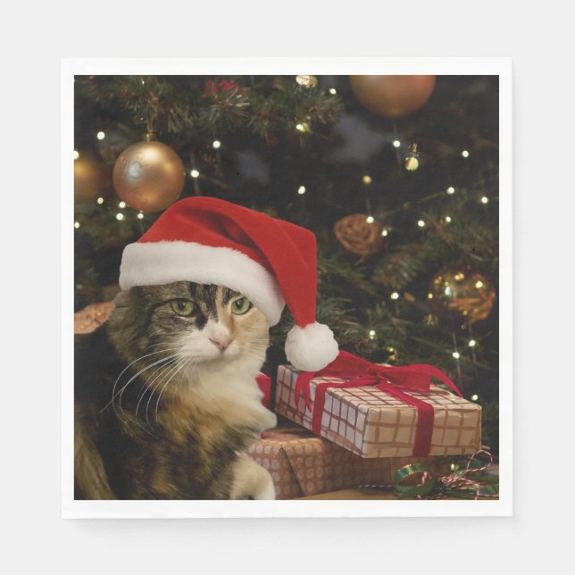 Guardanapo De Papel Calico Santa Kitty Napkins (Frente)