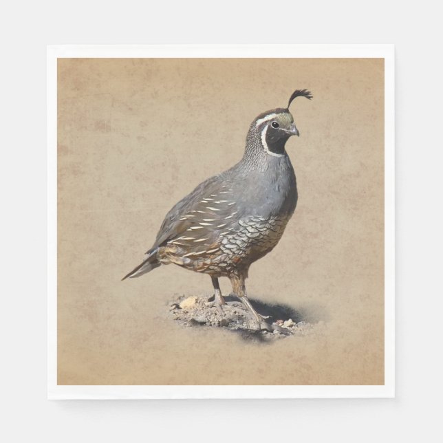 GUARDANAPO DE PAPEL CALIFORNIA QUAIL (Frente)