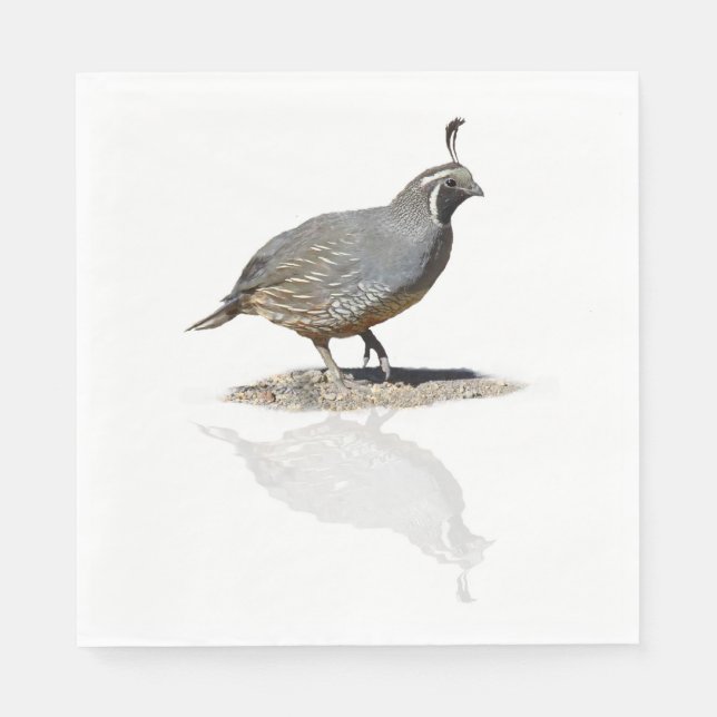 GUARDANAPO DE PAPEL CALIFÓRNIA QUAIL REFLETIDA (Frente)