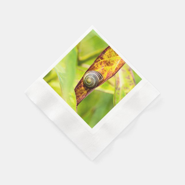 Guardanapo De Papel calma (Canto)