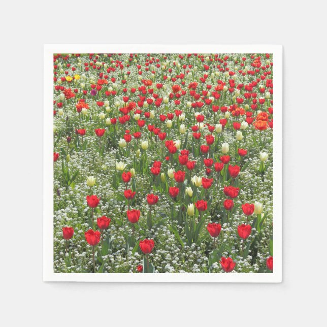 Guardanapo De Papel Cama de Tulipas (Frente)