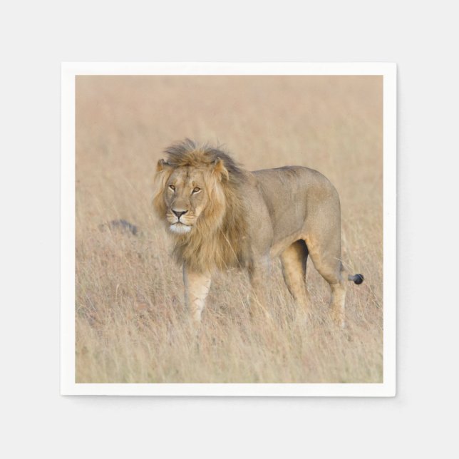 Guardanapo De Papel Caminho de leão (Frente)