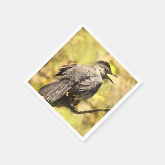 Guardanapo De Papel Cantando Cinza Catbird Papagaio Nápoles (Canto)