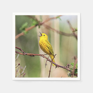 Guardanapo De Papel Cantor amarelo de Warbler