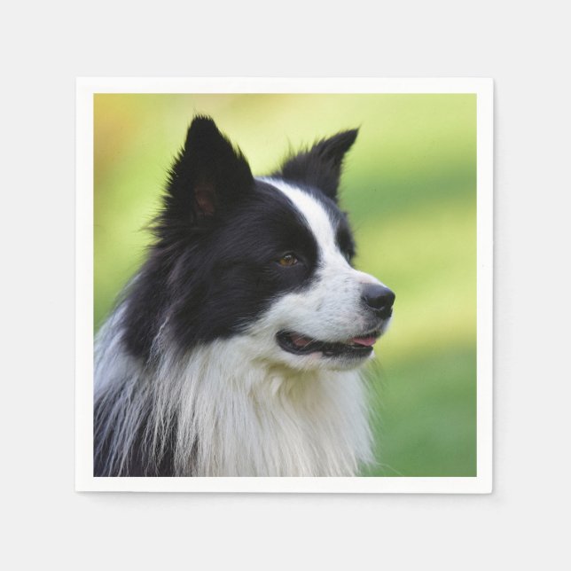 Guardanapo De Papel Cão Border Collie Preto e Branco (Frente)