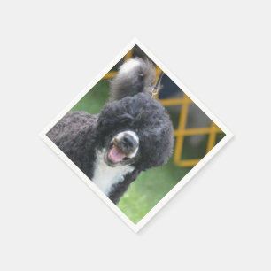 Guardanapo De Papel Cão de Água Português