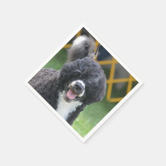 Guardanapo De Papel Cão de Água Português (Canto)