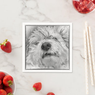 Guardanapo De Papel Cão de Coton de Tulear