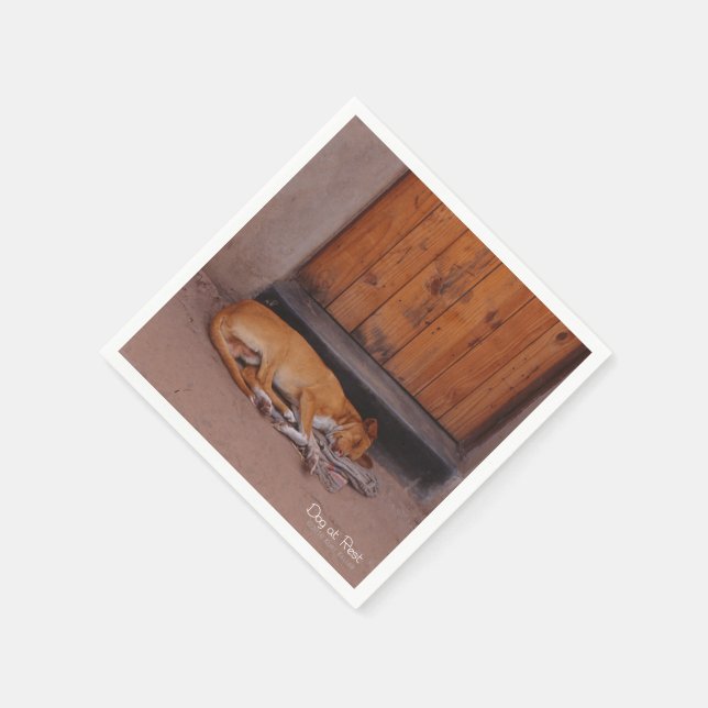 Guardanapo De Papel Cão no Resto (Canto)