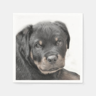 Guardanapo De Papel Cão rottweiler