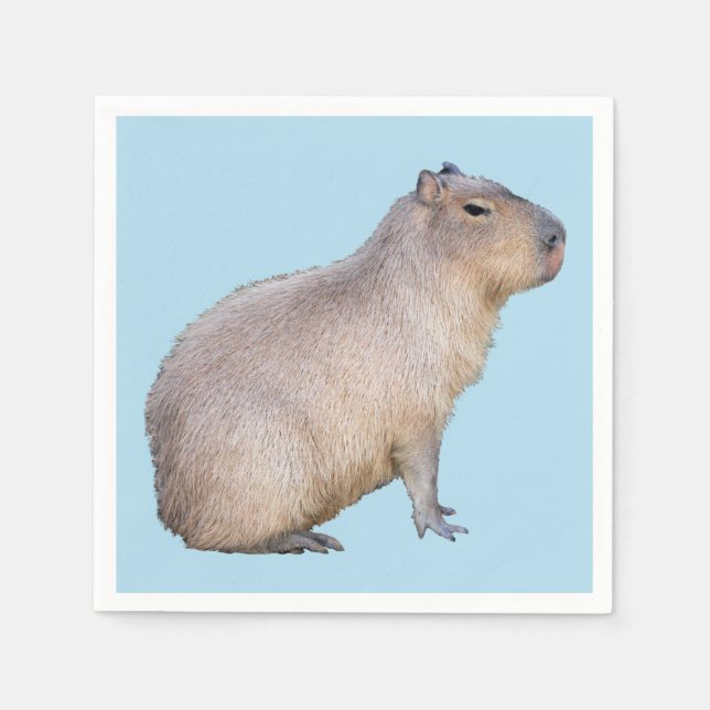 Guardanapo De Papel Capybara (Frente)