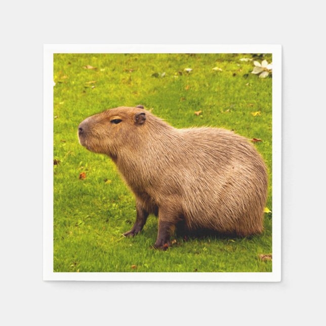 Guardanapo De Papel Capybara (Frente)
