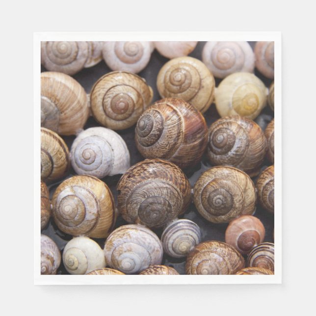 Guardanapo De Papel Caracóis (Frente)