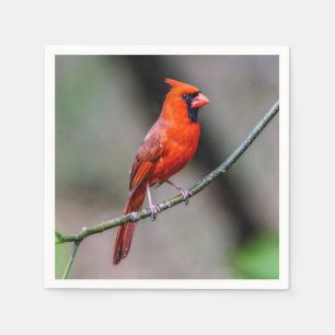 Guardanapo de papel cardinal
