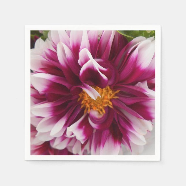 Guardanapo De Papel Carteuserina (Frente)